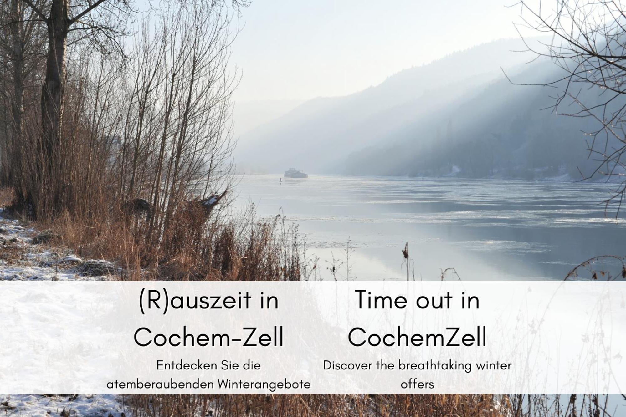 布雷姆Winzerhaus Am Calmont - Terrasse Der Ruhe公寓 外观 照片
