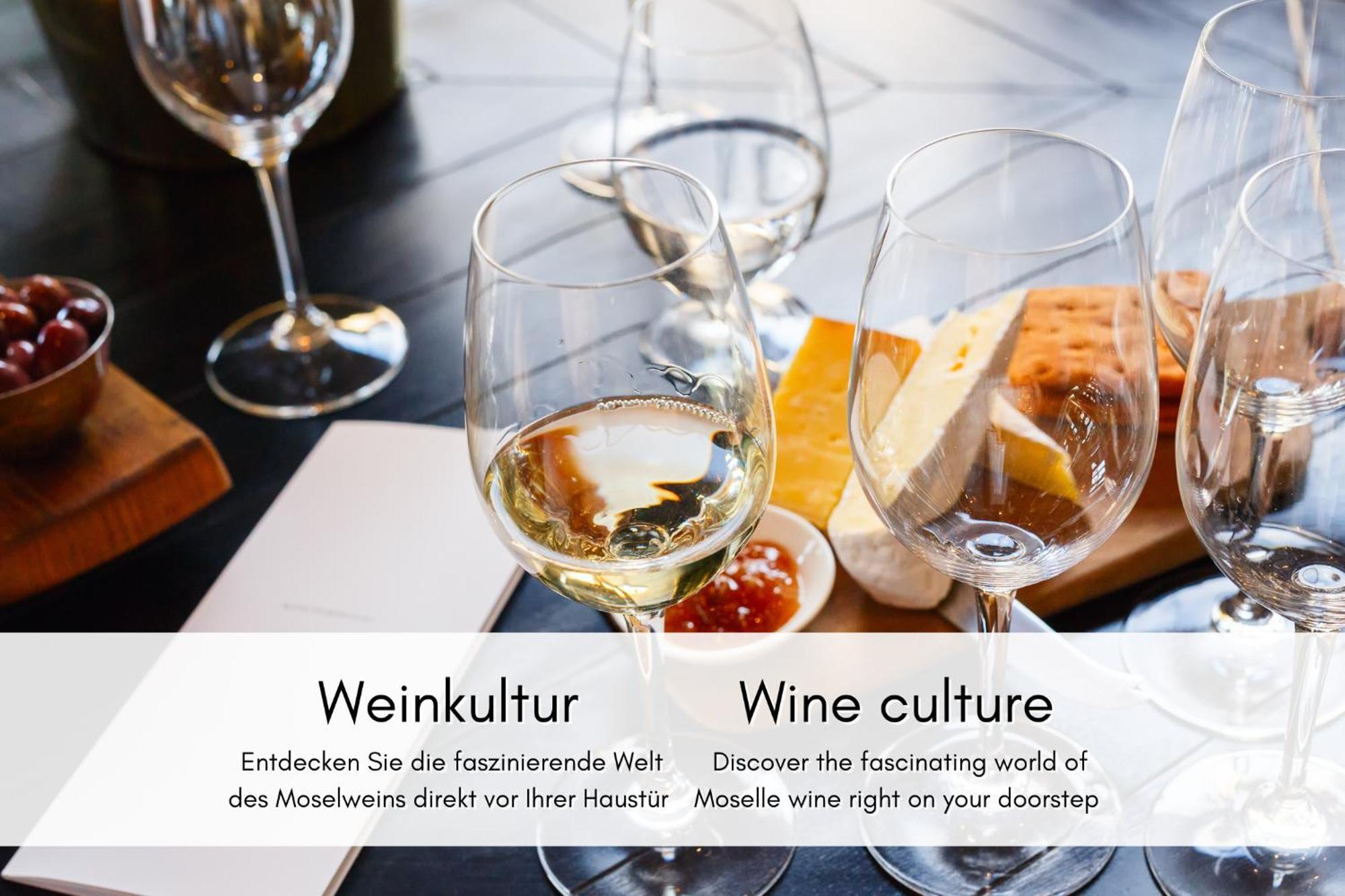 布雷姆Winzerhaus Am Calmont - Terrasse Der Ruhe公寓 外观 照片