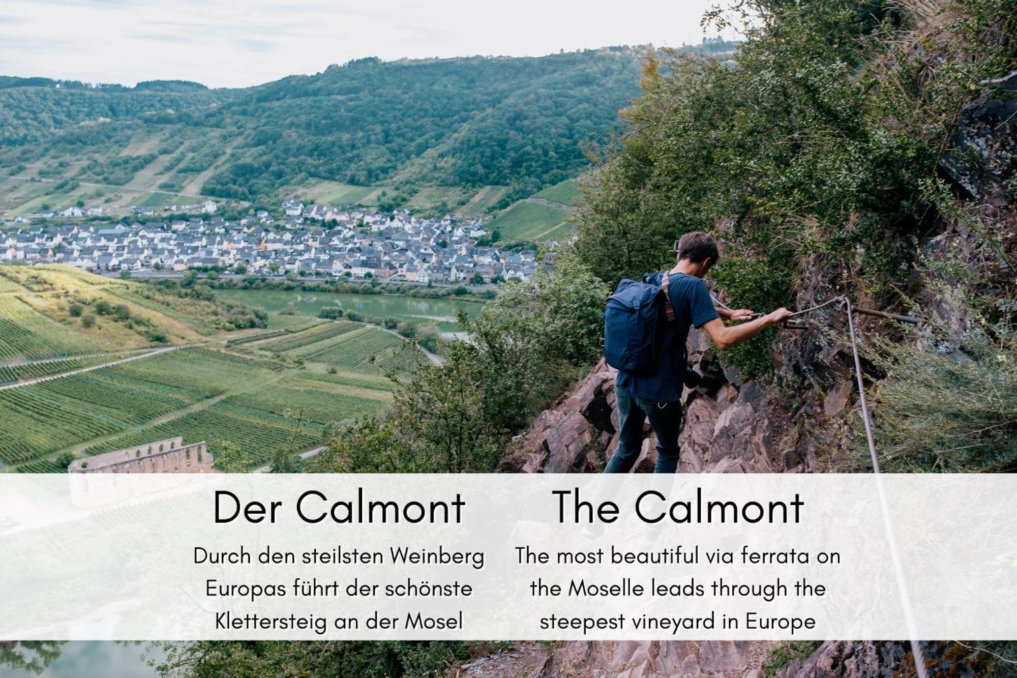 布雷姆Winzerhaus Am Calmont - Terrasse Der Ruhe公寓 外观 照片